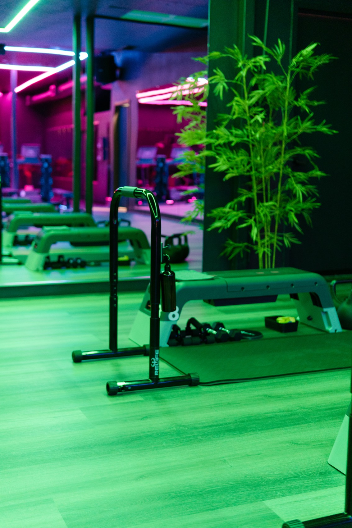 Mats, parallettes and kettlebells in the Society 3 functional zone under green light