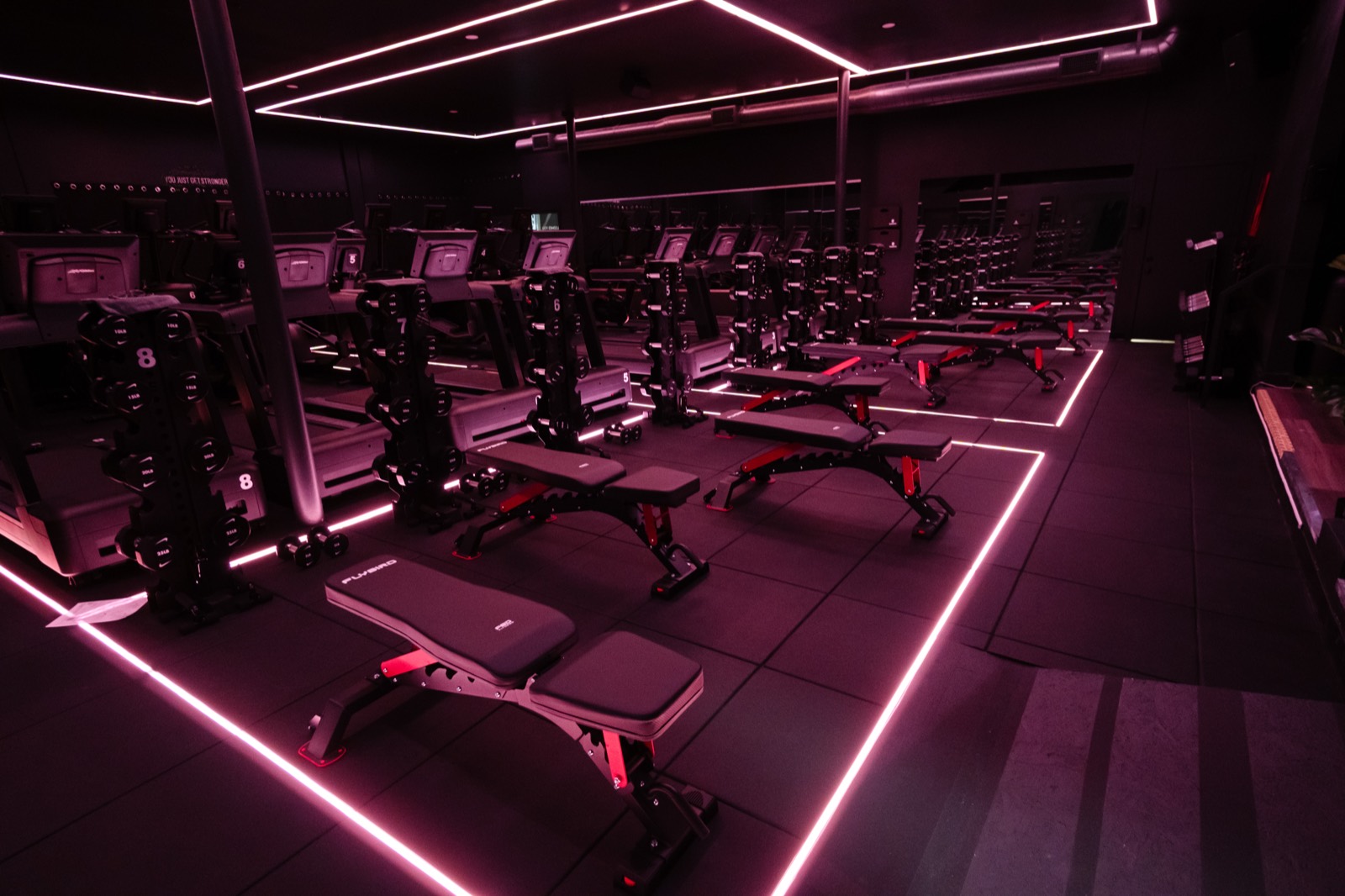 Benches and dumbbell towers in the Society 3 strength zone under pink neon