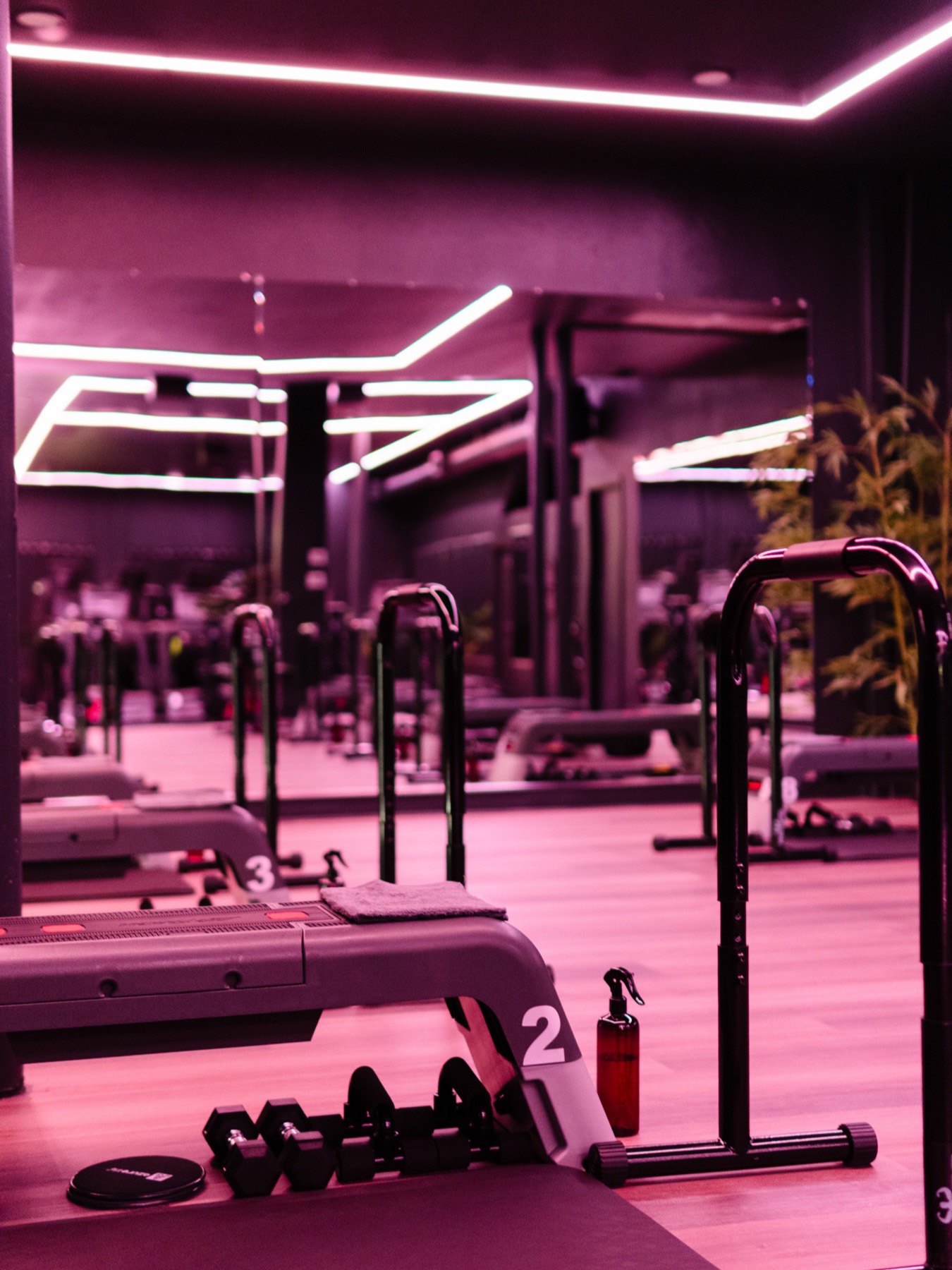 The strength zone at Society 3